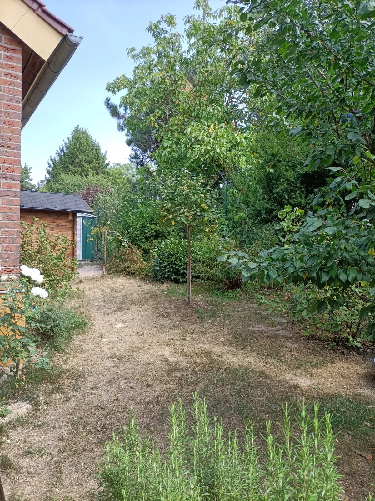 Blick in den eingefriedeten Garten der Zuchtstätte mit Bäumen und Sträuchern